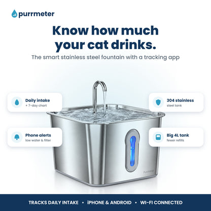 Purrmeter smart cat water fountain with daily water intake tracking