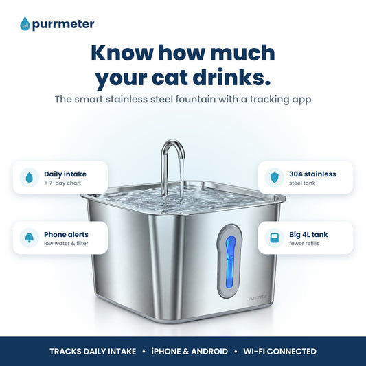 Purrmeter smart cat water fountain with daily water intake tracking